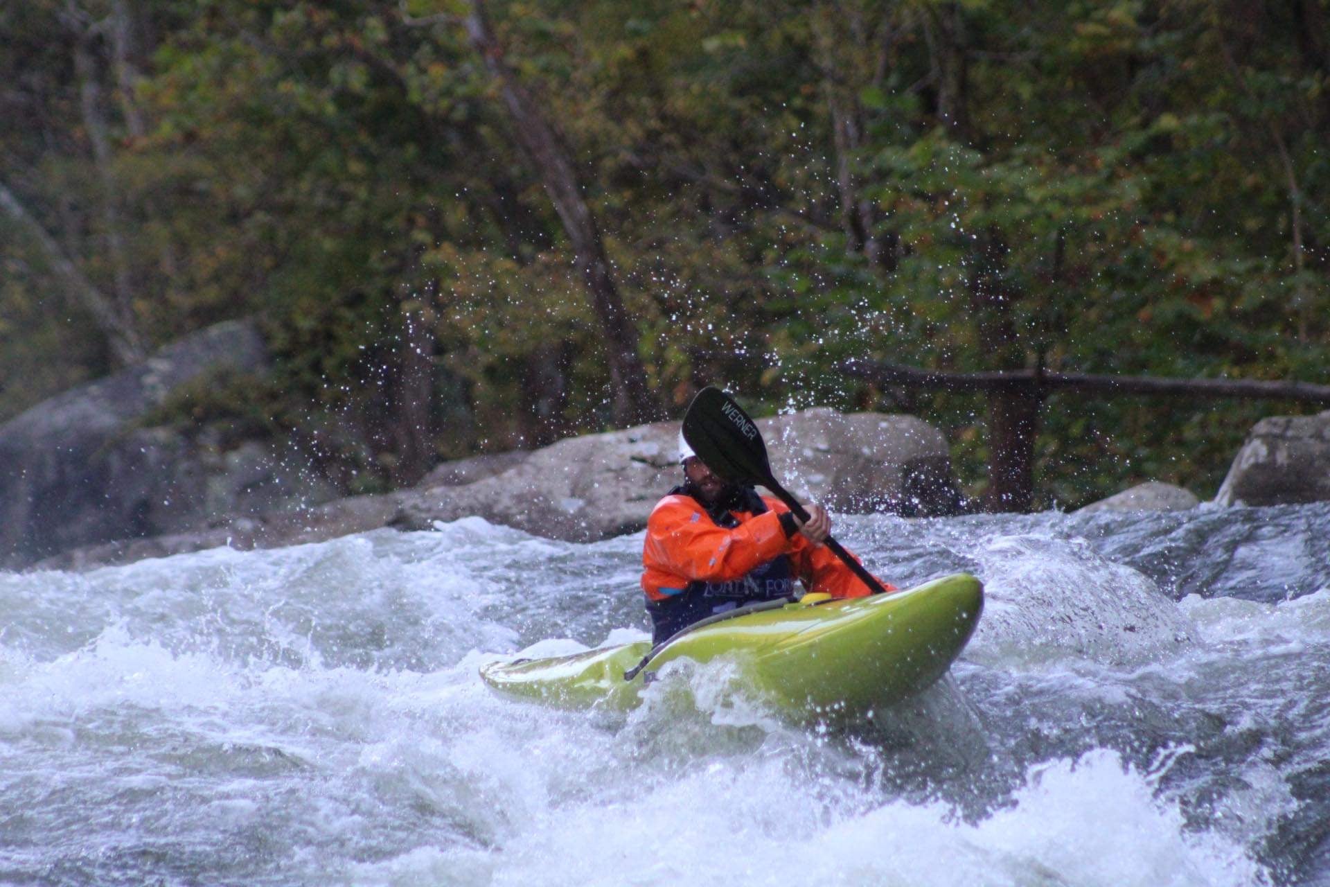 Werner Paddles