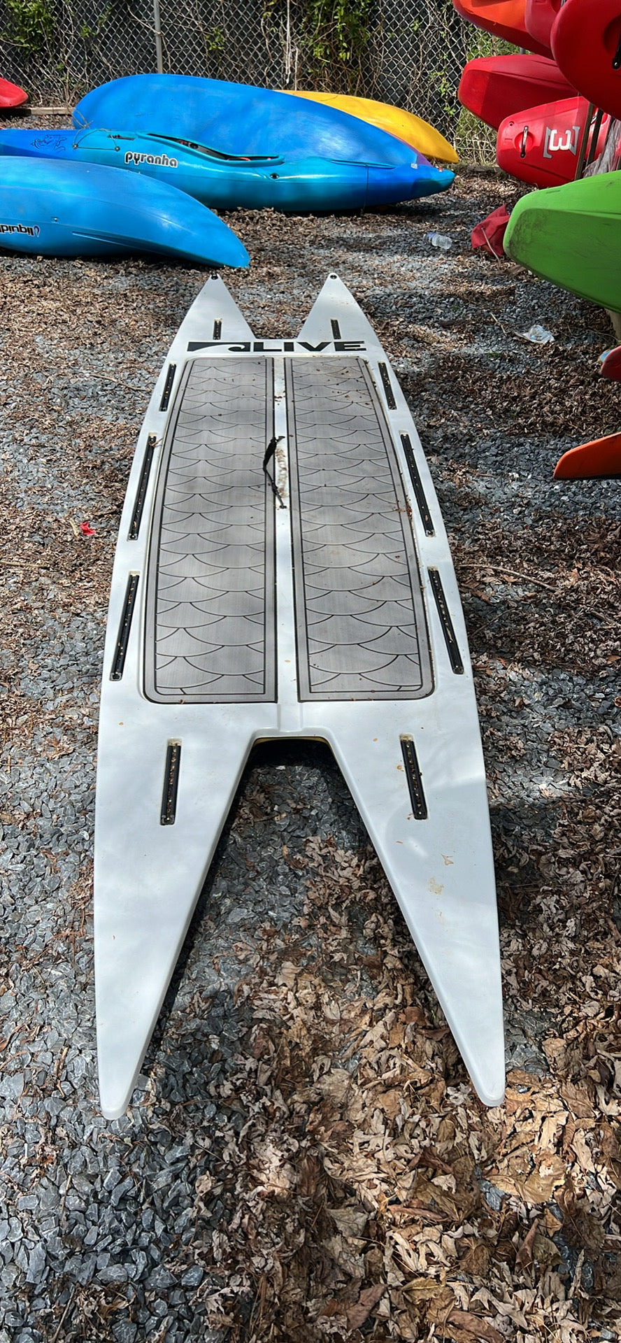 Live 2 fish composite sup.