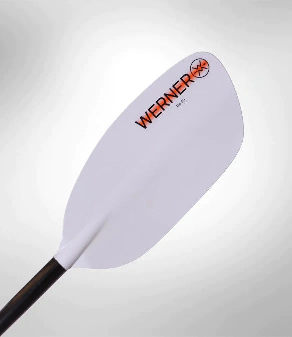 Werner Rio 4-Piece paddle